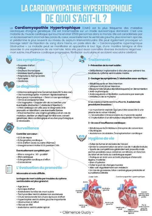 Infographie réalisée par Clémence Gualy présentant les symptômes, le diagnostic, la surveillance, les traitements et l’hygiène de vie en lien avec la cardiomyopathie hypertrophique.
