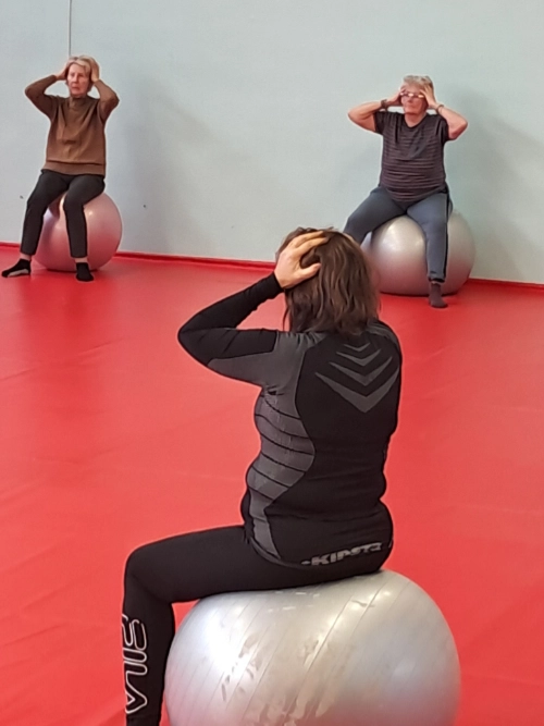 Participants en séance de Postural Ball avec R’Echo Coach, travaillant la posture et la mobilité sur Swiss Ball.