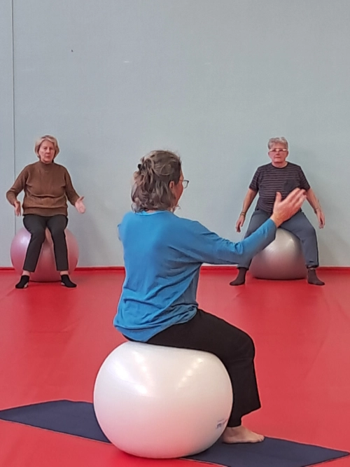 Séance de Postural Ball animée par R’Echo Coach, avec travail de posture et de mobilité sur Swiss Ball pour un mieux-être durable.
