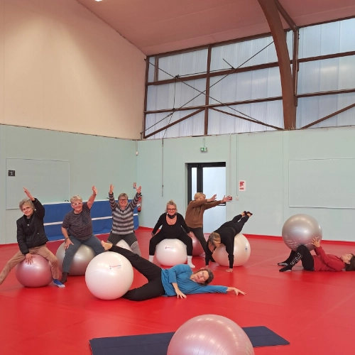 Groupe en séance ludique de Postural Ball avec R’Echo Coach, travaillant la mobilité, l’équilibre et le mieux-être sur Swiss Ball.