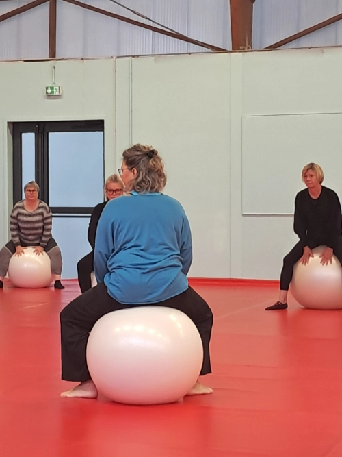Groupe en séance de Postural Ball guidée par R’Echo Coach, travaillant la posture et la mobilité sur Swiss Ball.